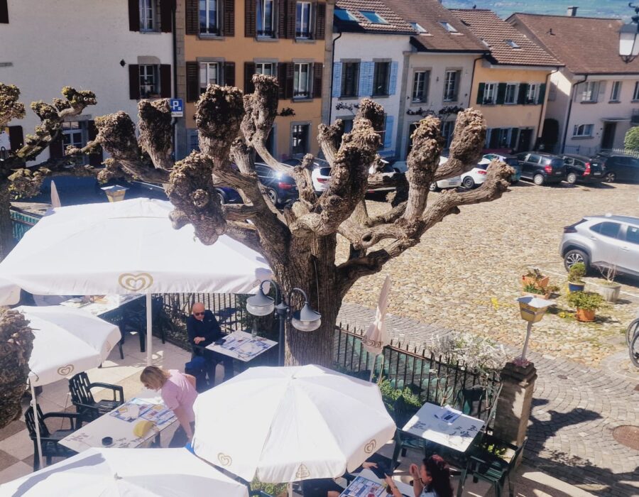 terrasse